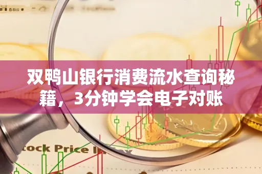 双鸭山银行消费流水查询秘籍，3分钟学会电子对账