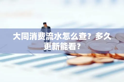 大同消费流水怎么查？多久更新能看？